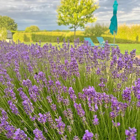 En Perche-proche Mortagne Oda ve Kahvaltı 3*