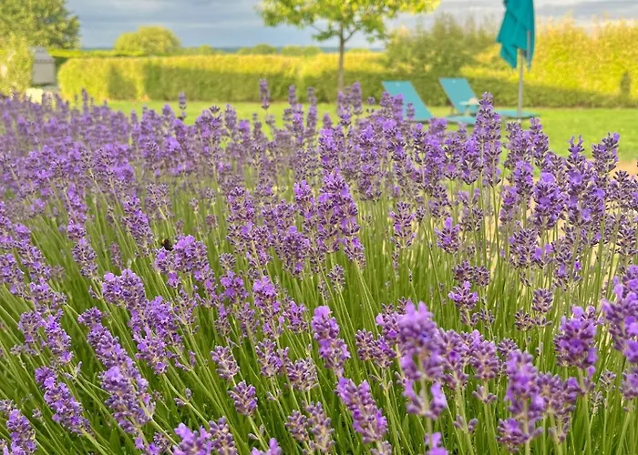 En Perche-proche Mortagne B&B 3*